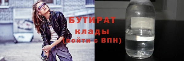 гашик Алексин