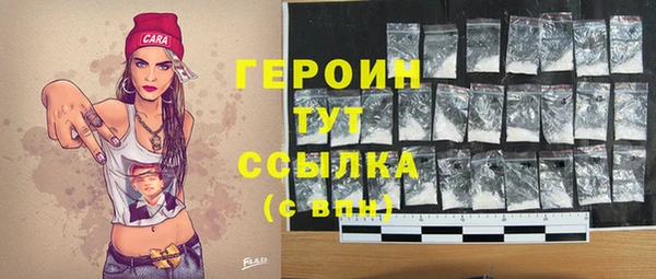 гашик Алексин