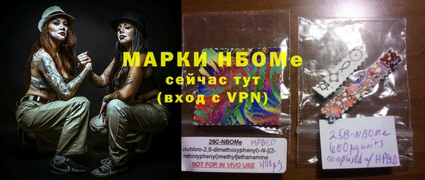гашик Алексин