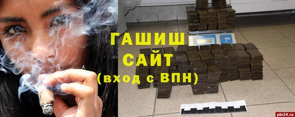 гашик Алексин